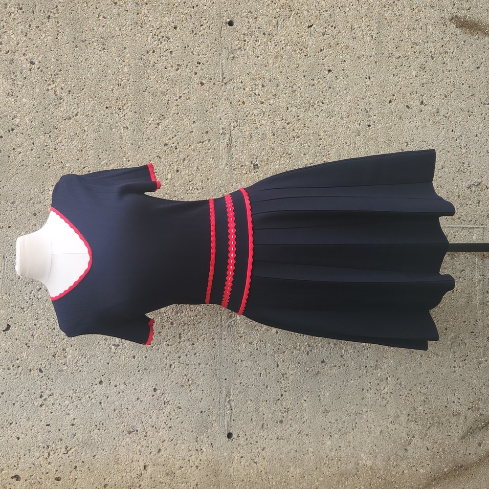 Navy Dress with Pink Trim — Women's Pleated Fit-and-Flare